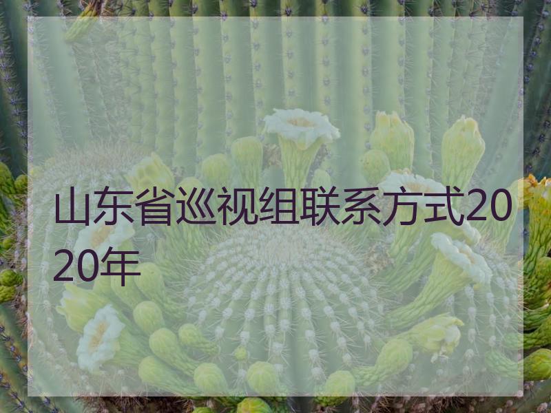 山东省巡视组联系方式2020年