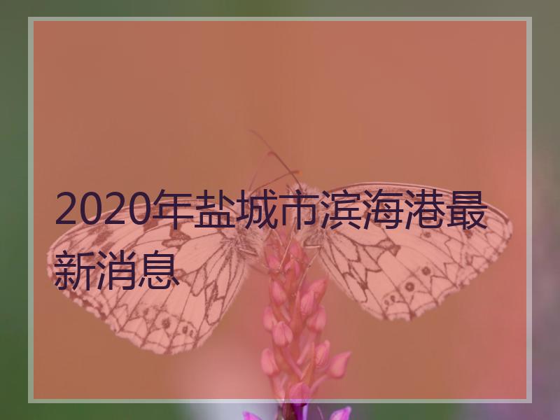 2020年盐城市滨海港最新消息