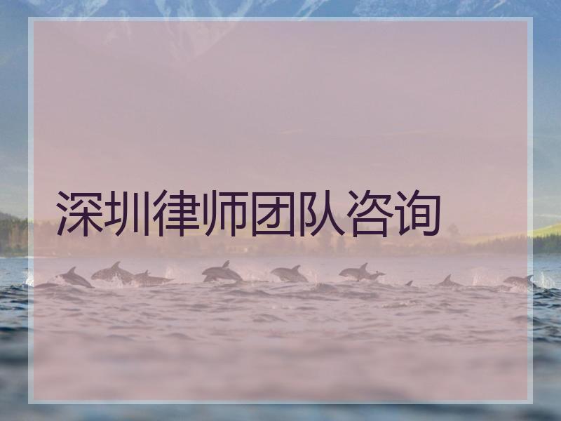 深圳律师团队咨询