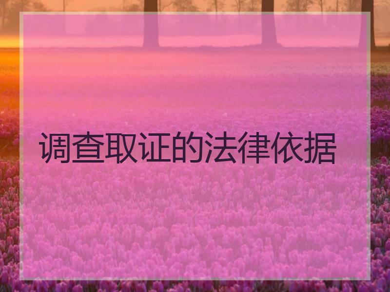 调查取证的法律依据