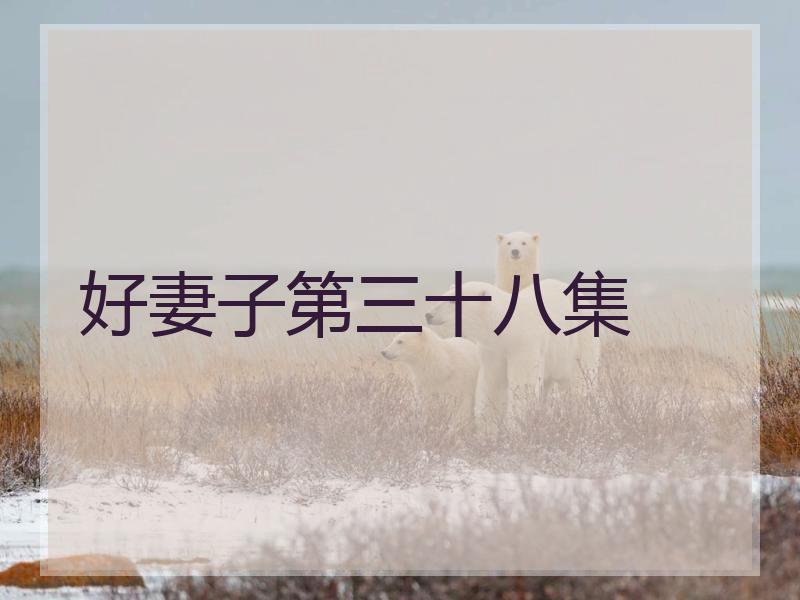 好妻子第三十八集