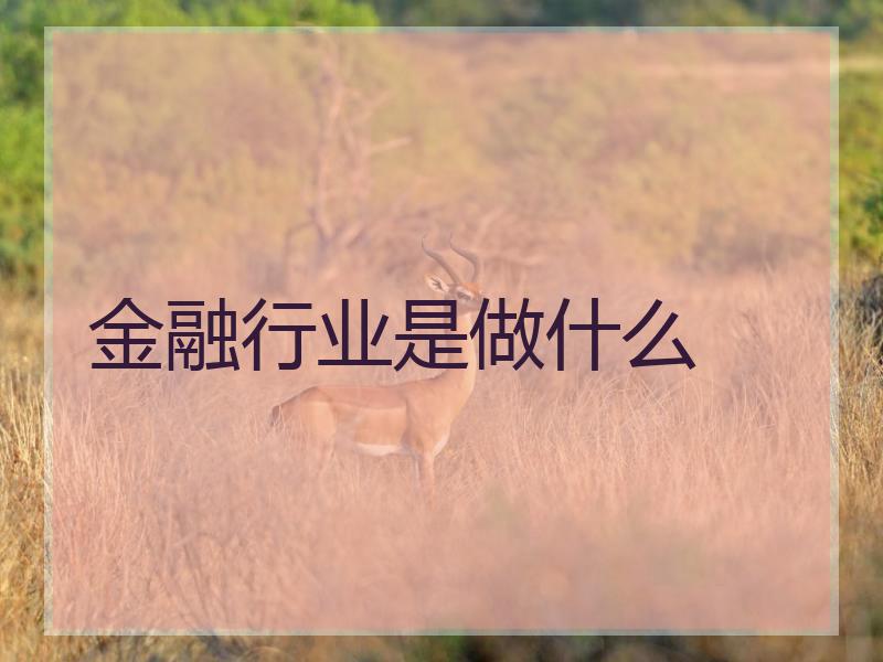 金融行业是做什么