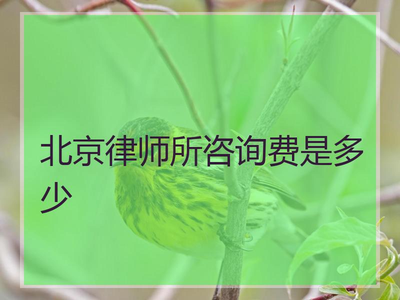 北京律师所咨询费是多少