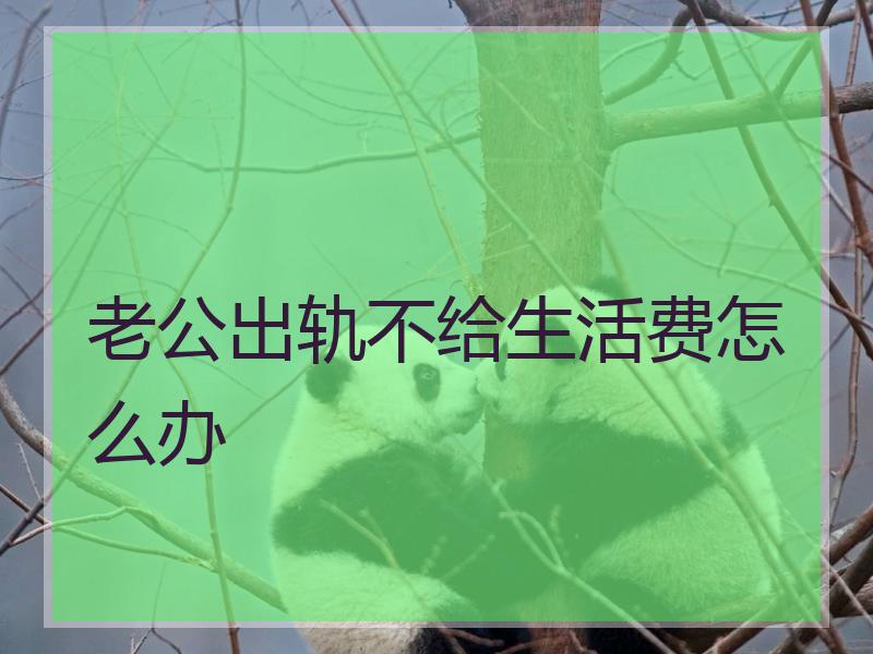 老公出轨不给生活费怎么办
