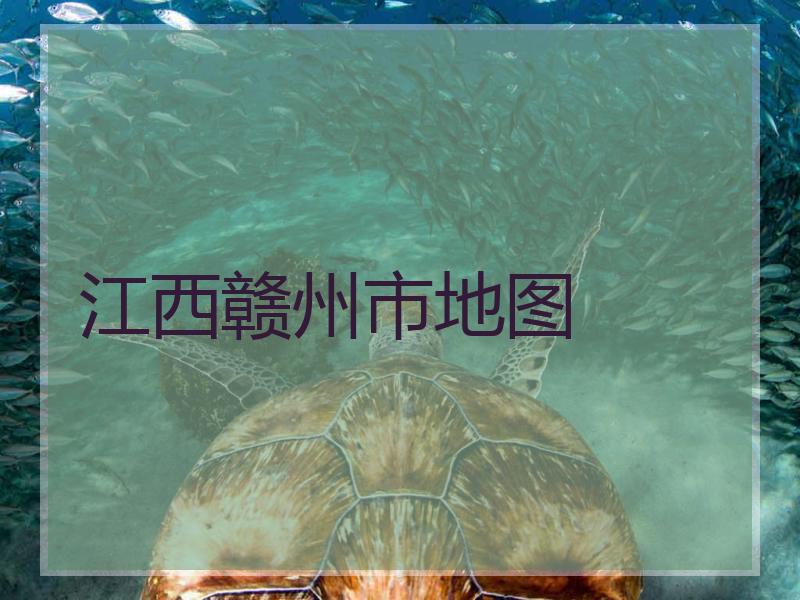 江西赣州市地图