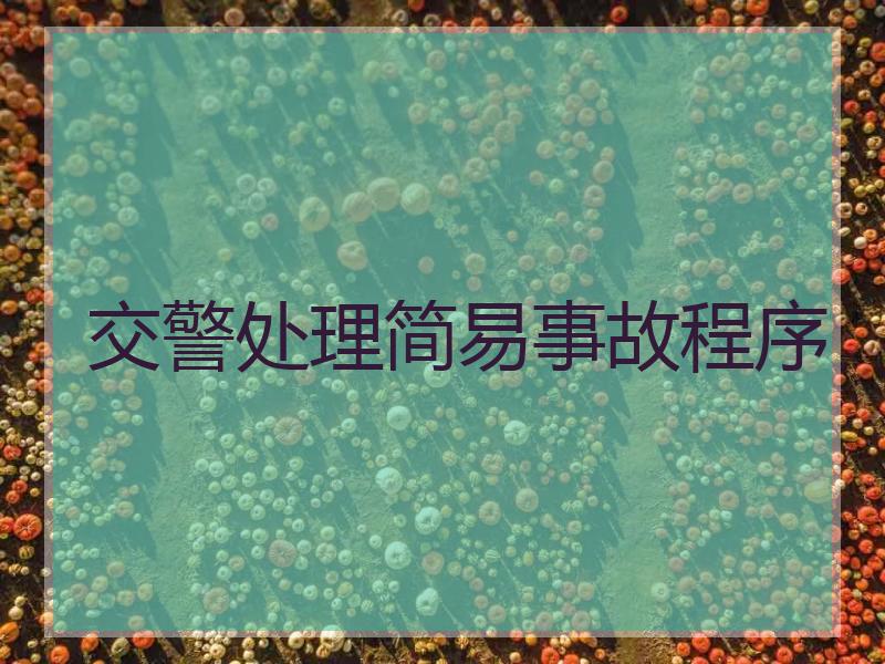 交警处理简易事故程序