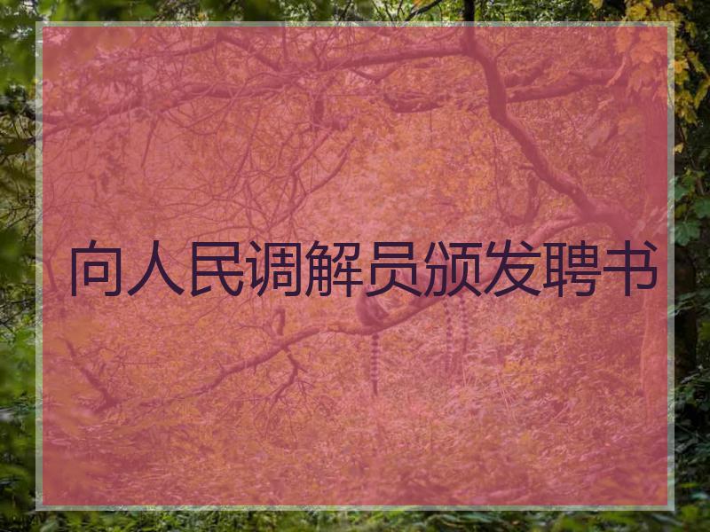 向人民调解员颁发聘书
