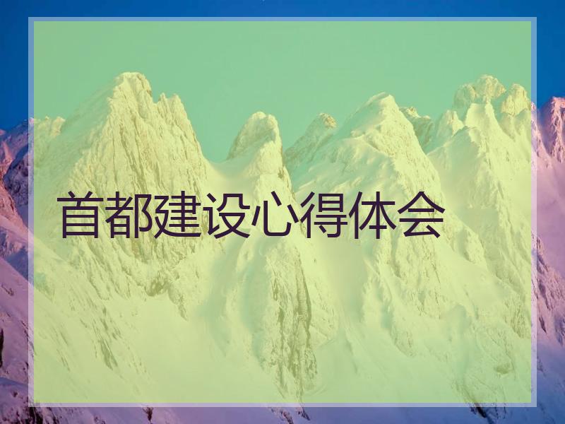 首都建设心得体会