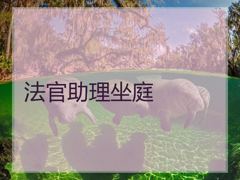 法官助理坐庭