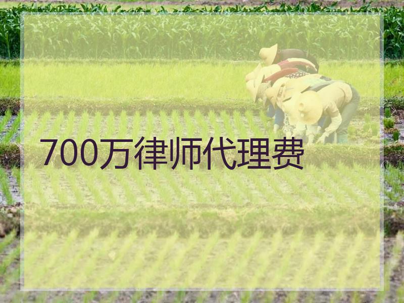 700万律师代理费