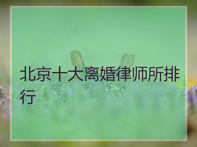 北京十大离婚律师所排行