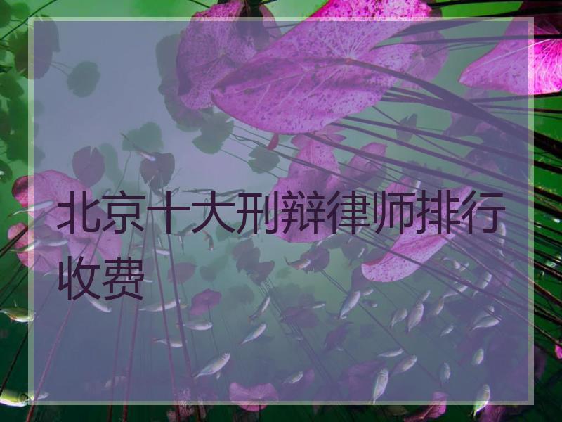 北京十大刑辩律师排行收费