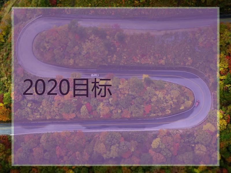 2020目标