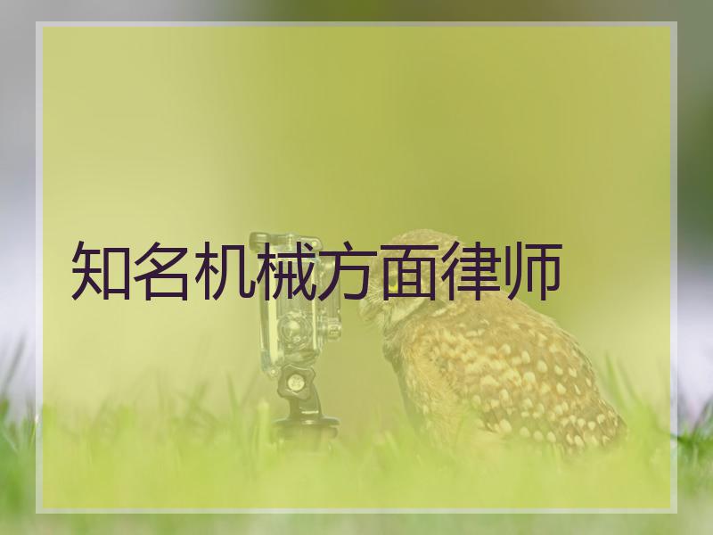 知名机械方面律师