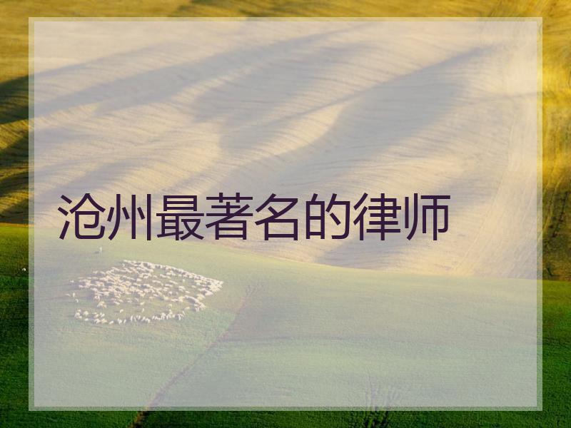 沧州最著名的律师