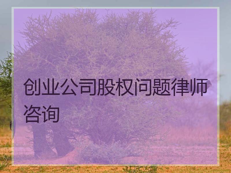 创业公司股权问题律师咨询