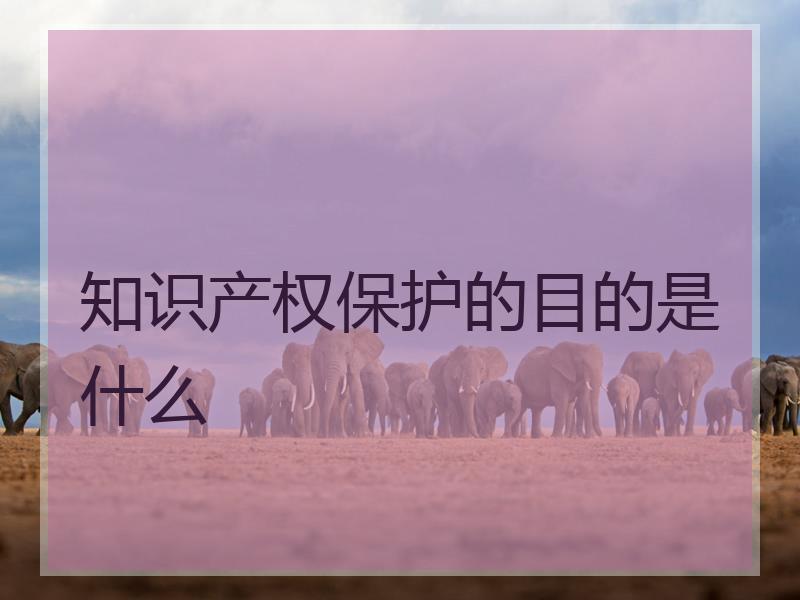 知识产权保护的目的是什么
