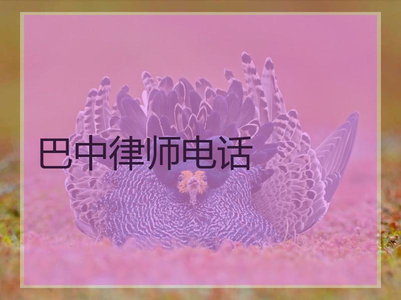 巴中律师电话