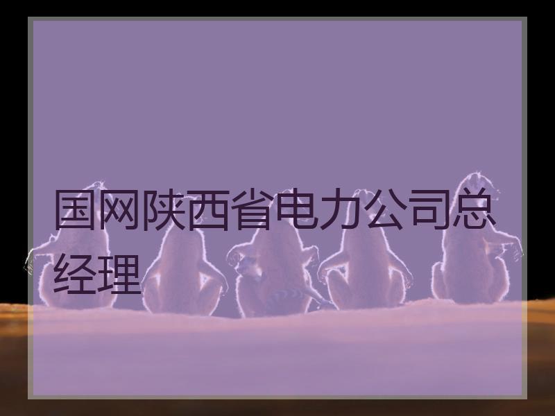 国网陕西省电力公司总经理