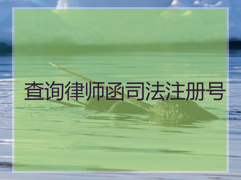 查询律师函注册号