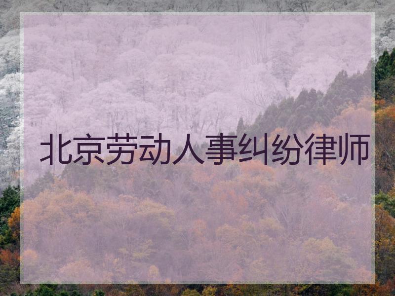 北京劳动人事纠纷律师