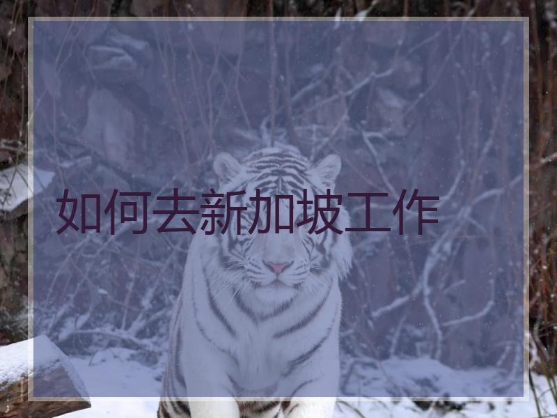 如何去新加坡工作