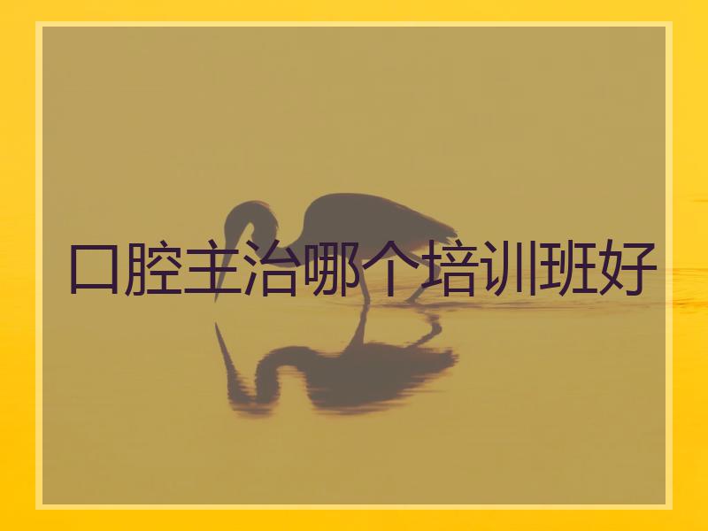 口腔主治哪个培训班好