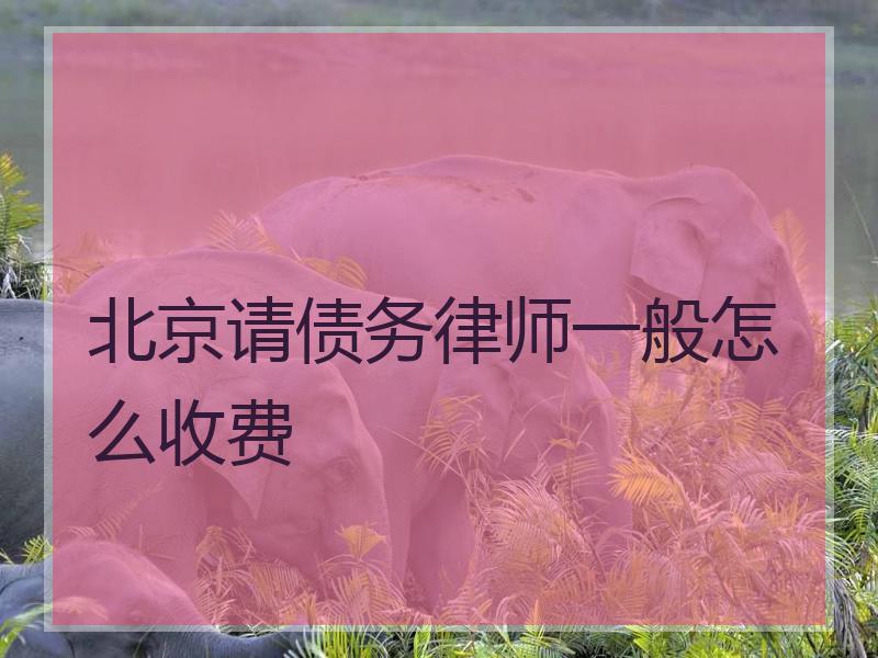 北京请债务律师一般怎么收费