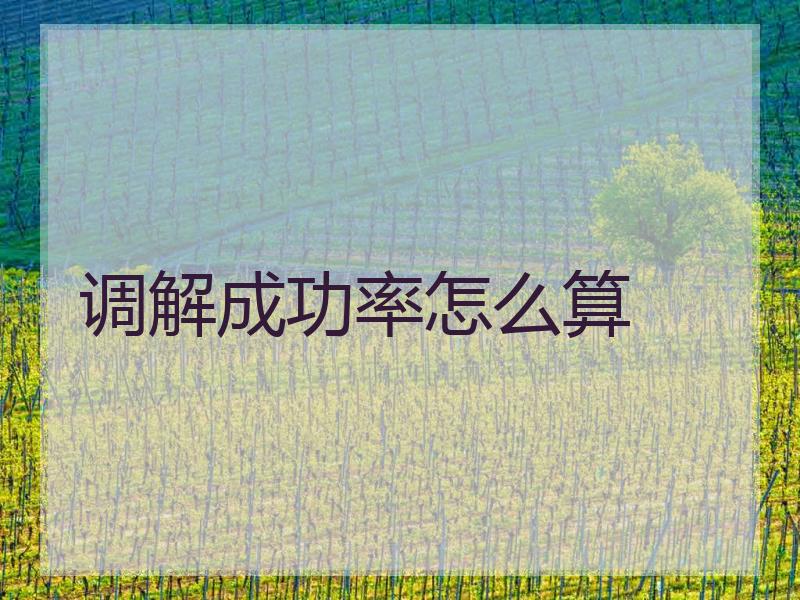 调解成功率怎么算