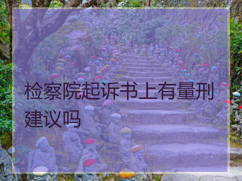 检察院起诉书上有量刑建议吗