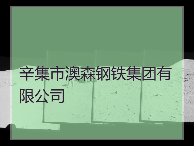 辛集市澳森钢铁集团有限公司