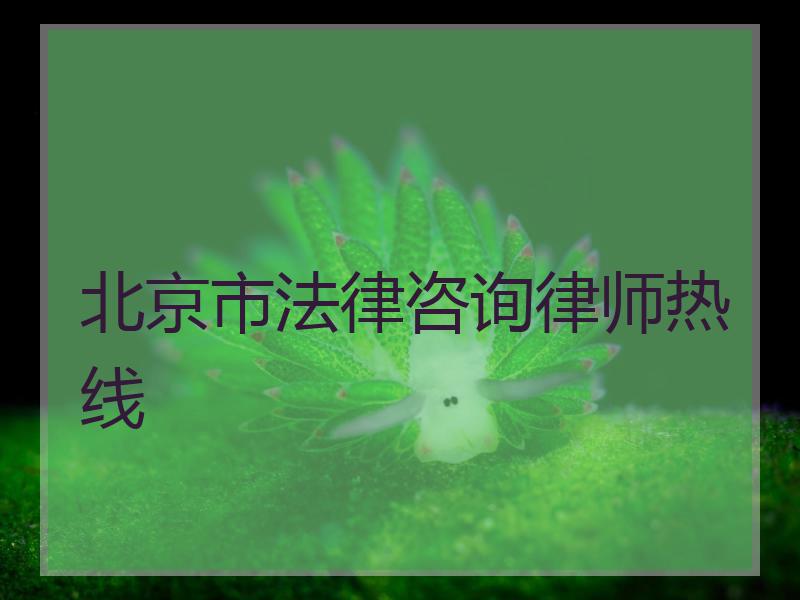北京市法律咨询律师热线