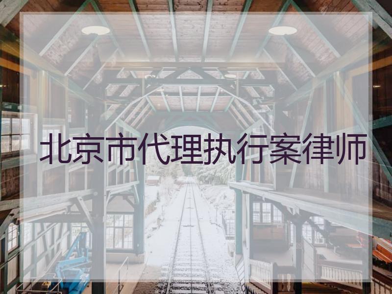 北京市代理执行案律师