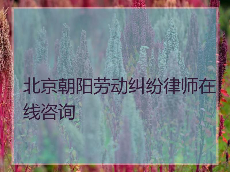 北京朝阳劳动纠纷律师在线咨询