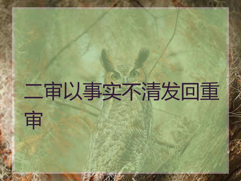 二审以事实不清发回重审