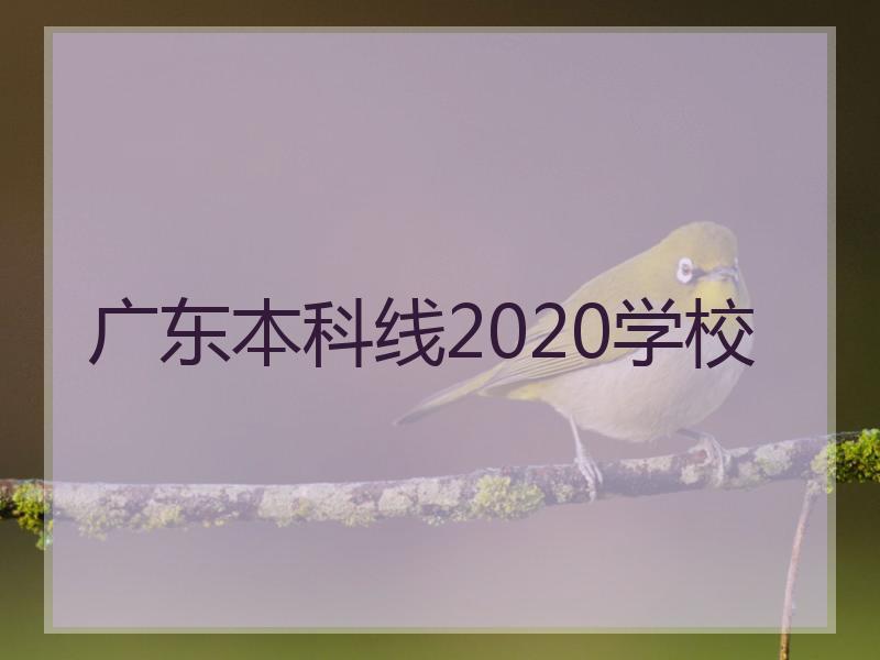 广东本科线2020学校