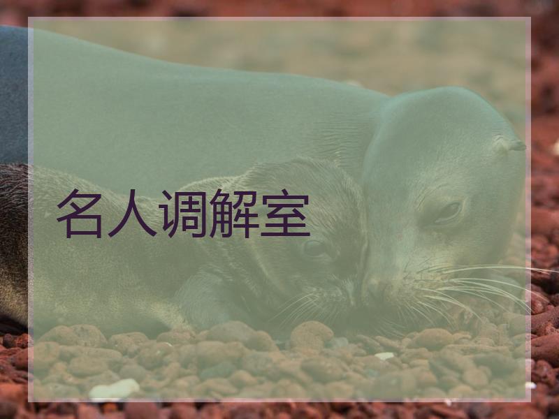 名人调解室