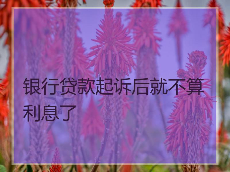 银行贷款起诉后就不算利息了