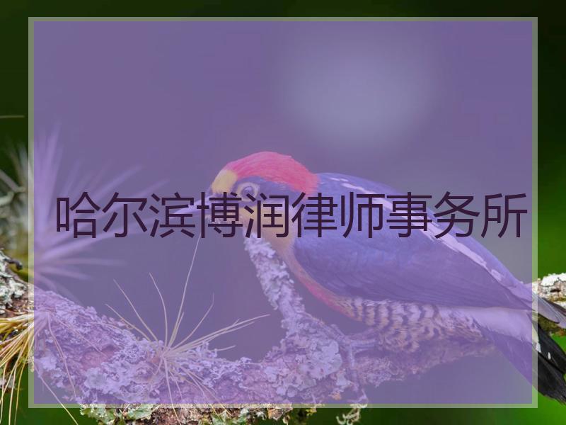 哈尔滨博润律师事务所