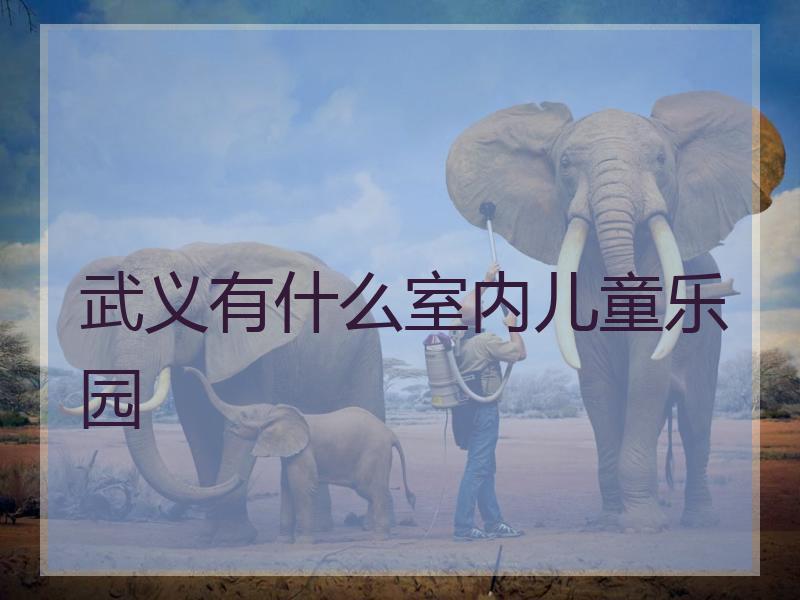 武义有什么室内儿童乐园