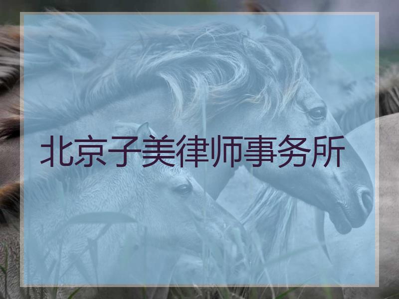 北京子美律师事务所