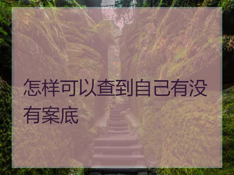 怎样可以查到自己有没有案底