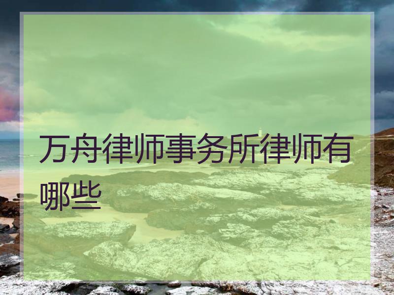 万舟律师事务所律师有哪些