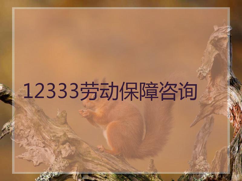 12333劳动保障咨询