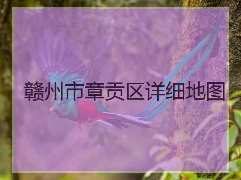 赣州市章贡区详细地图