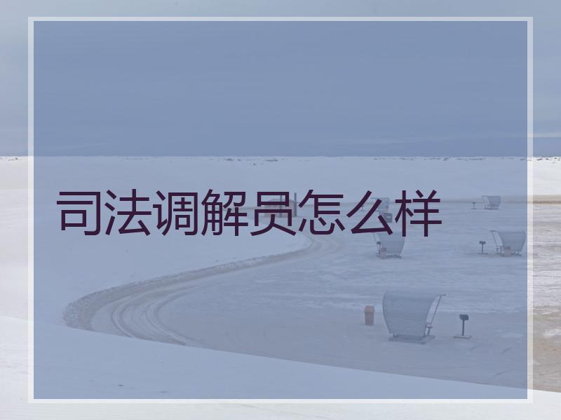 调解员怎么样