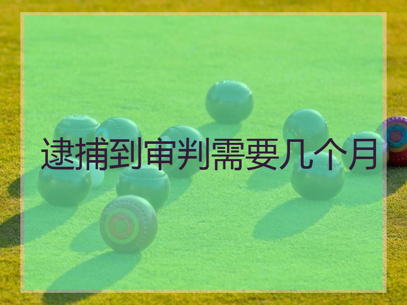逮捕到审判需要几个月