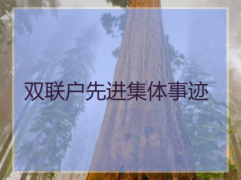 双联户先进集体事迹