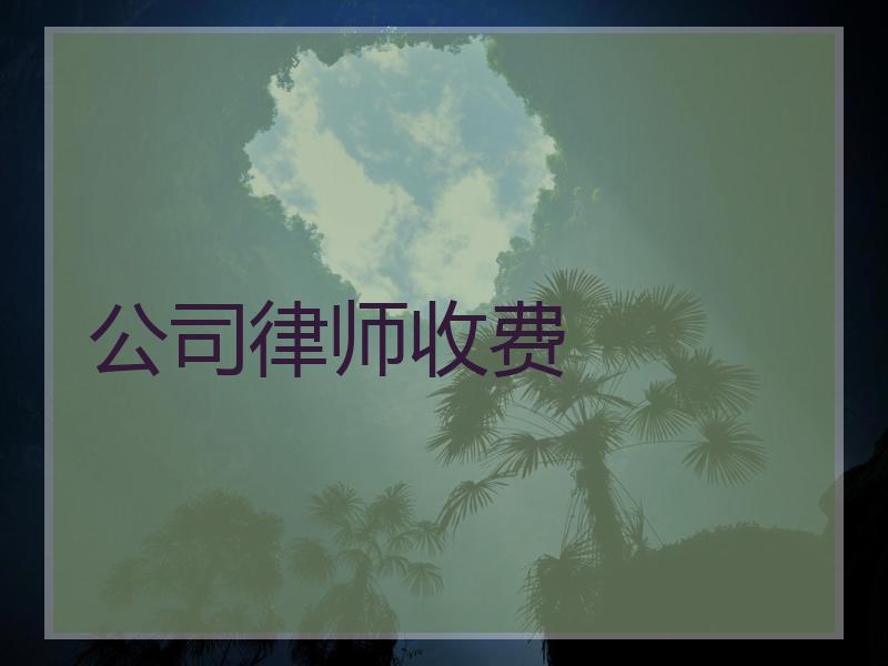 公司律师收费