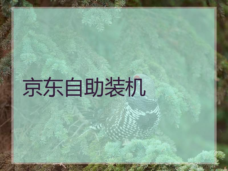 京东自助装机